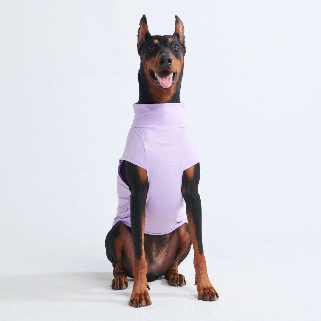 SparkPaws Sunblock Dog T-Shirt