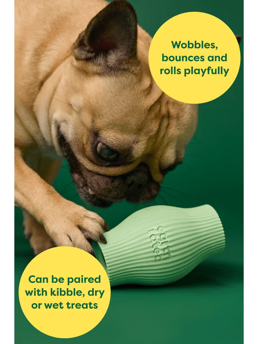 Earth Rated Natural Rubber Treat Toy