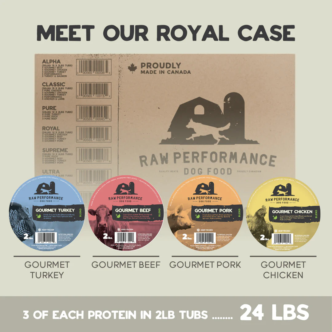 RawPreformance The Royal Case