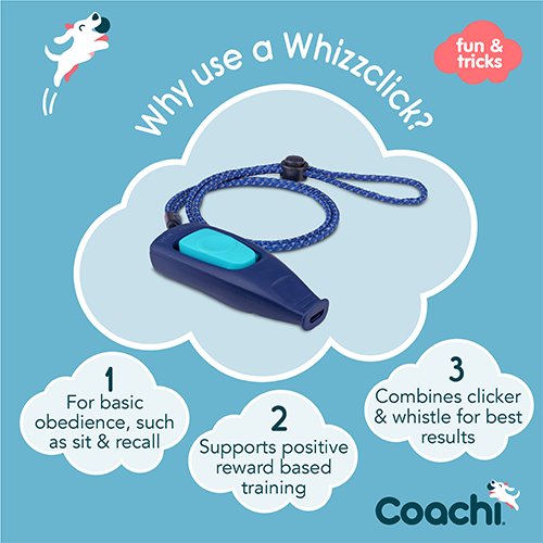 Company of Animals® Coachi® Whizzclick