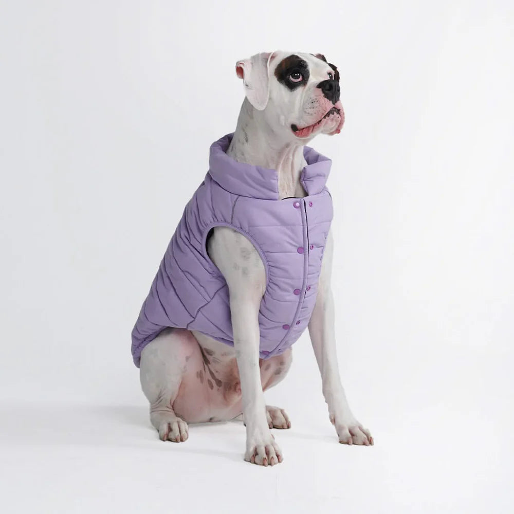 WarmShield Water-Resistant Jacket Lavender