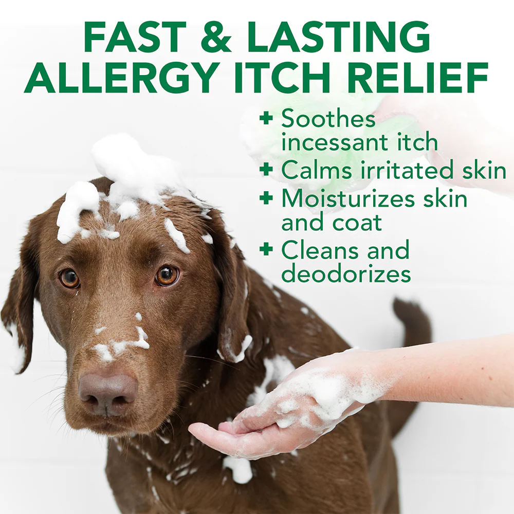 Vets Best Allergy Itch Relief Shampoo Dog 16oz