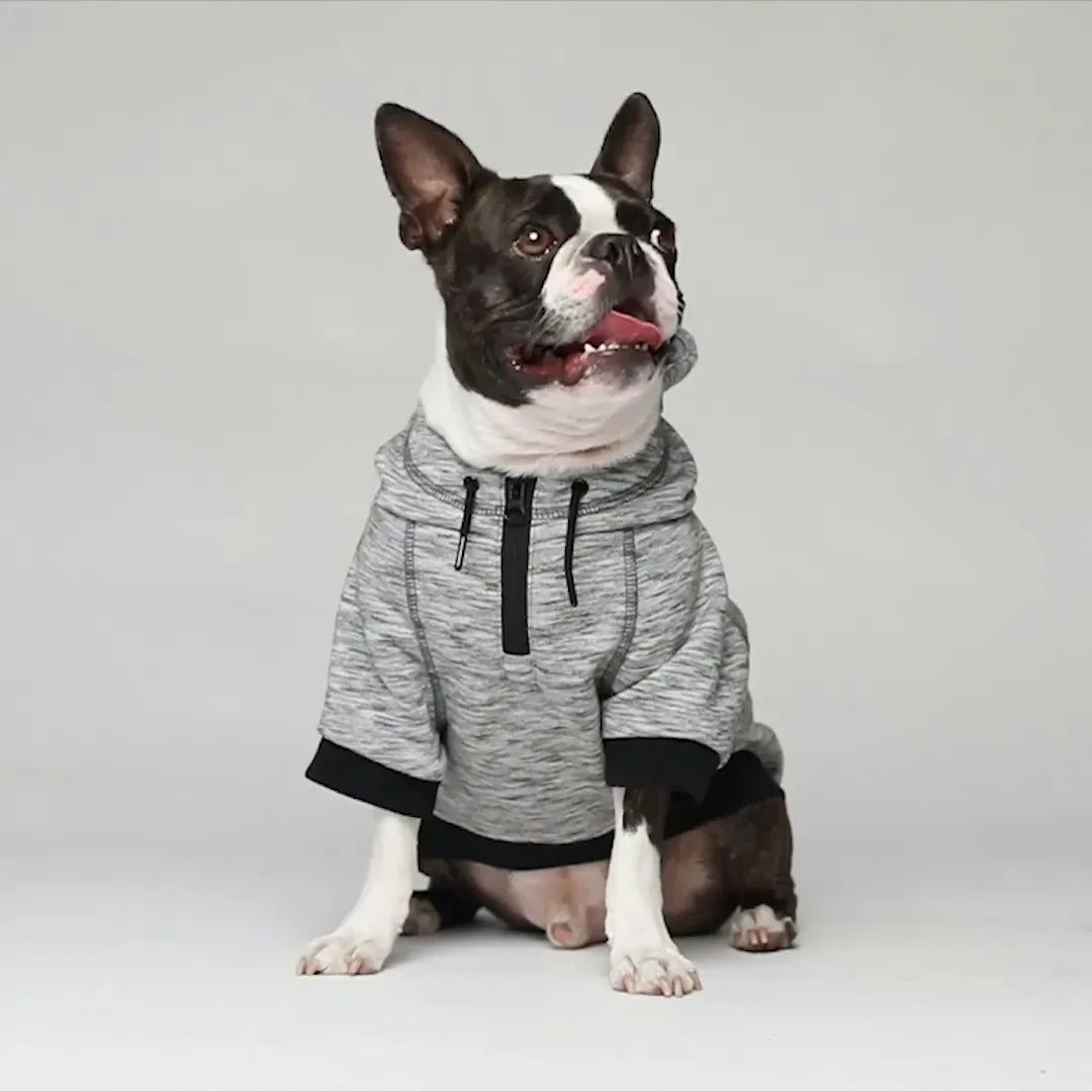 CANADA POOCH® HERO HOODIE DOG SWEATER GREY MIX