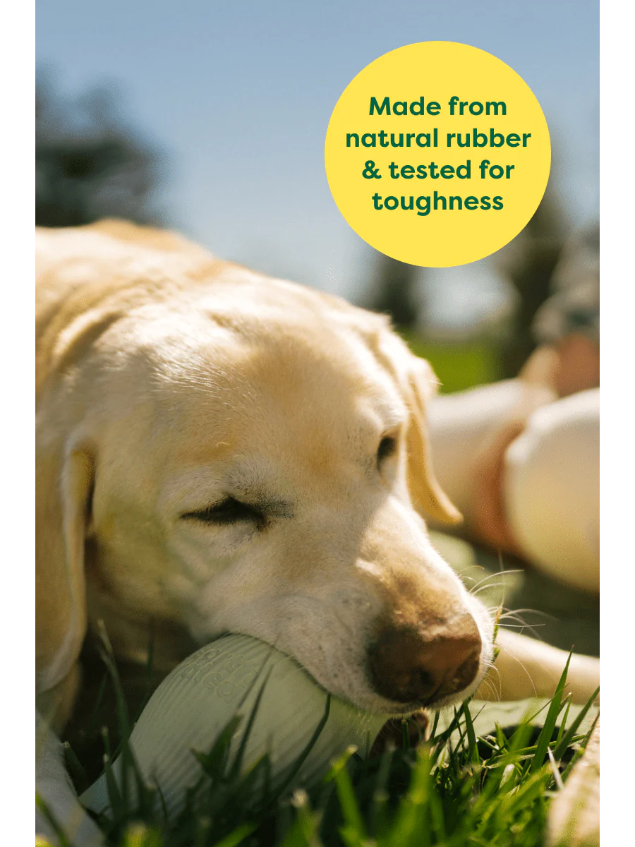 Earth Rated Natural Rubber Treat Toy