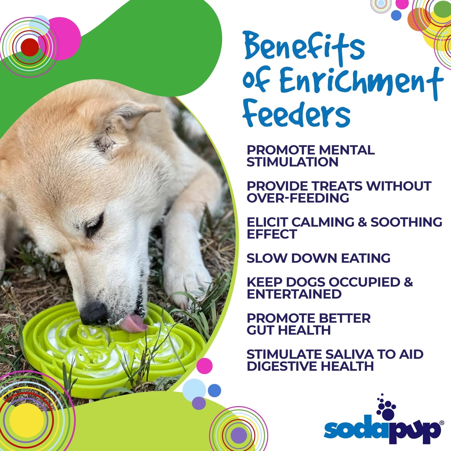 Frog Design eTray Enrichment Tray for Dogs