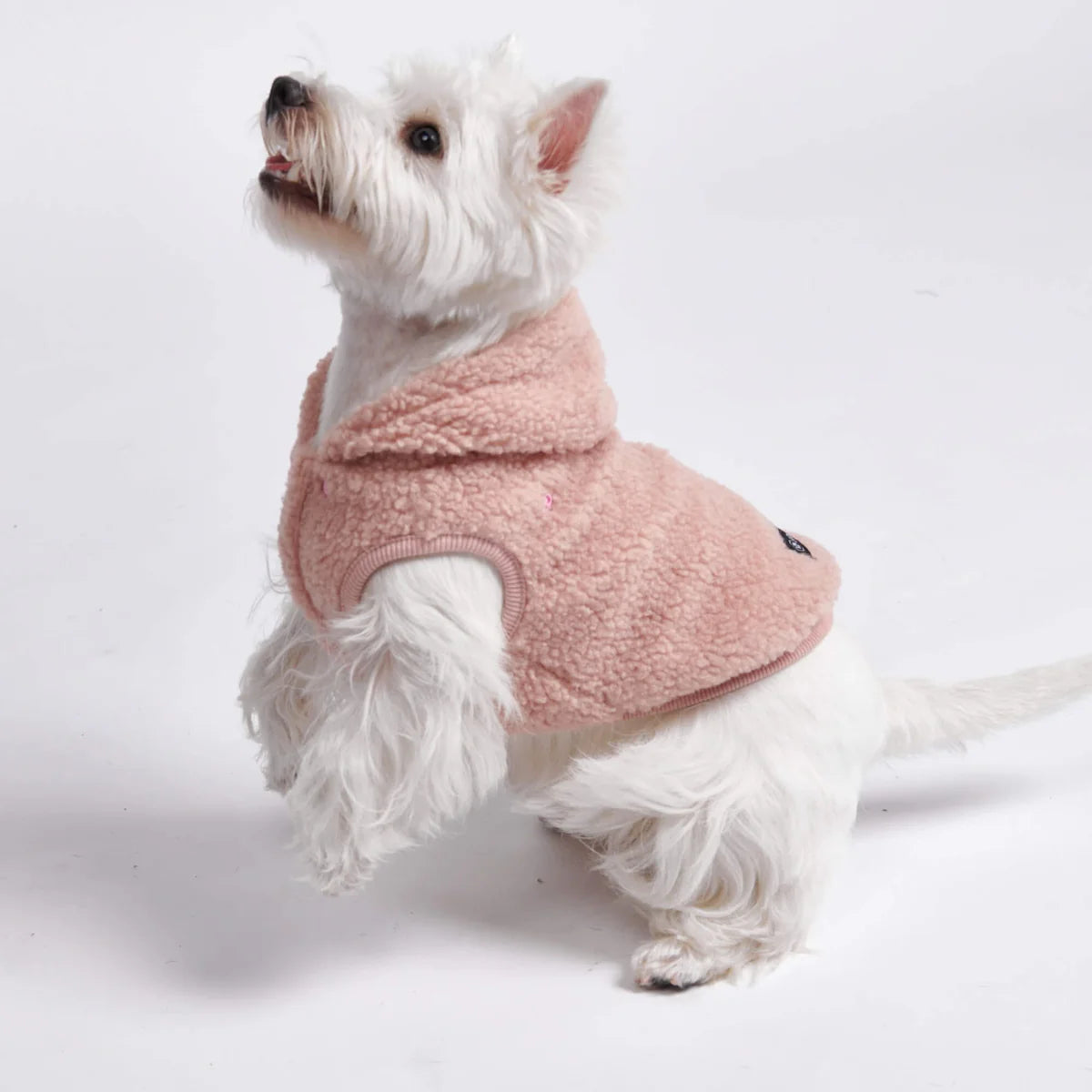 Teddy Sherpa Dog Jacket