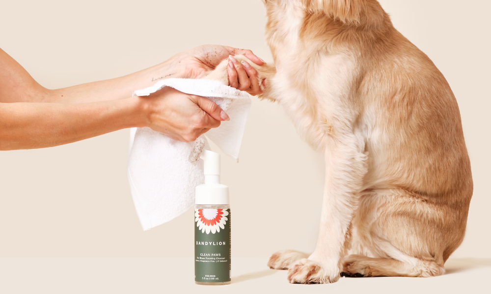 Clean Paws No-Rinse Foaming Cleanser