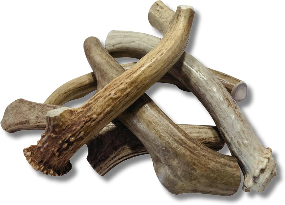 Elk Antlers