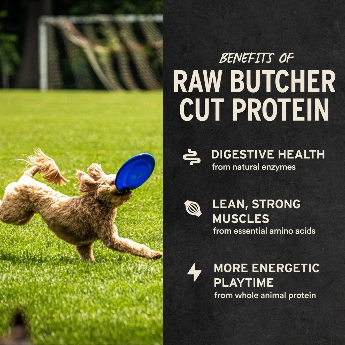 Vital Essentials® Freeze-Dried Rabbit Bites Dog Treats 2 oz