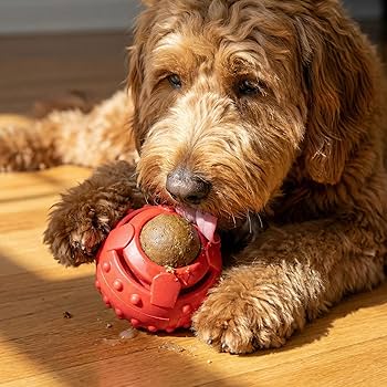 Seek A Treat Double Puzzle Ball