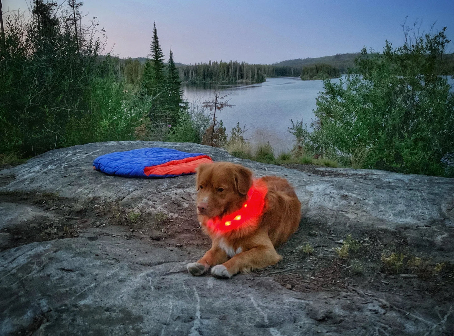 Mountain Beacon - LED Dog Safety Collar