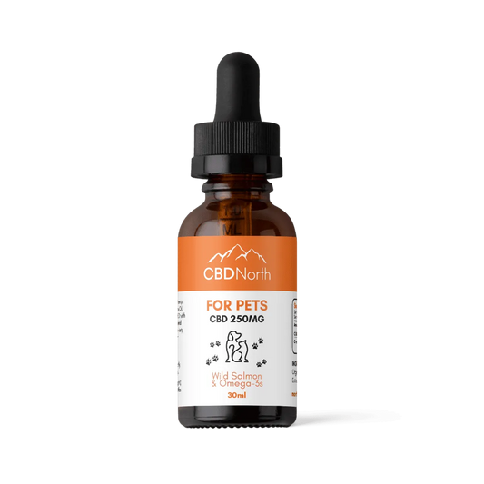 CBD North CBD Oil for Cats