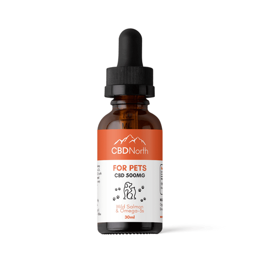 CBD North CBD Oil for Dogs