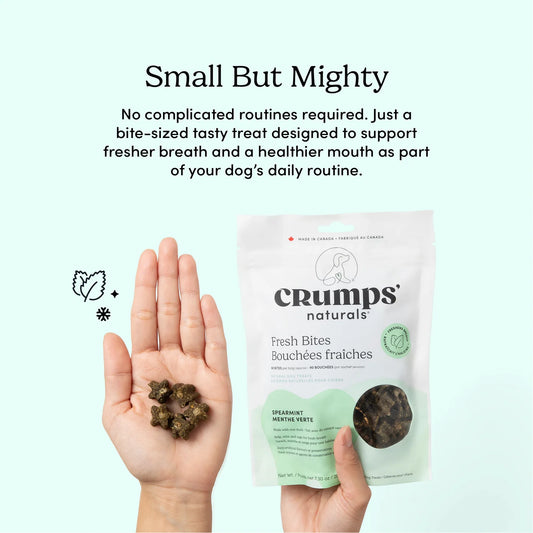Crumps Fresh Bites Spearmint