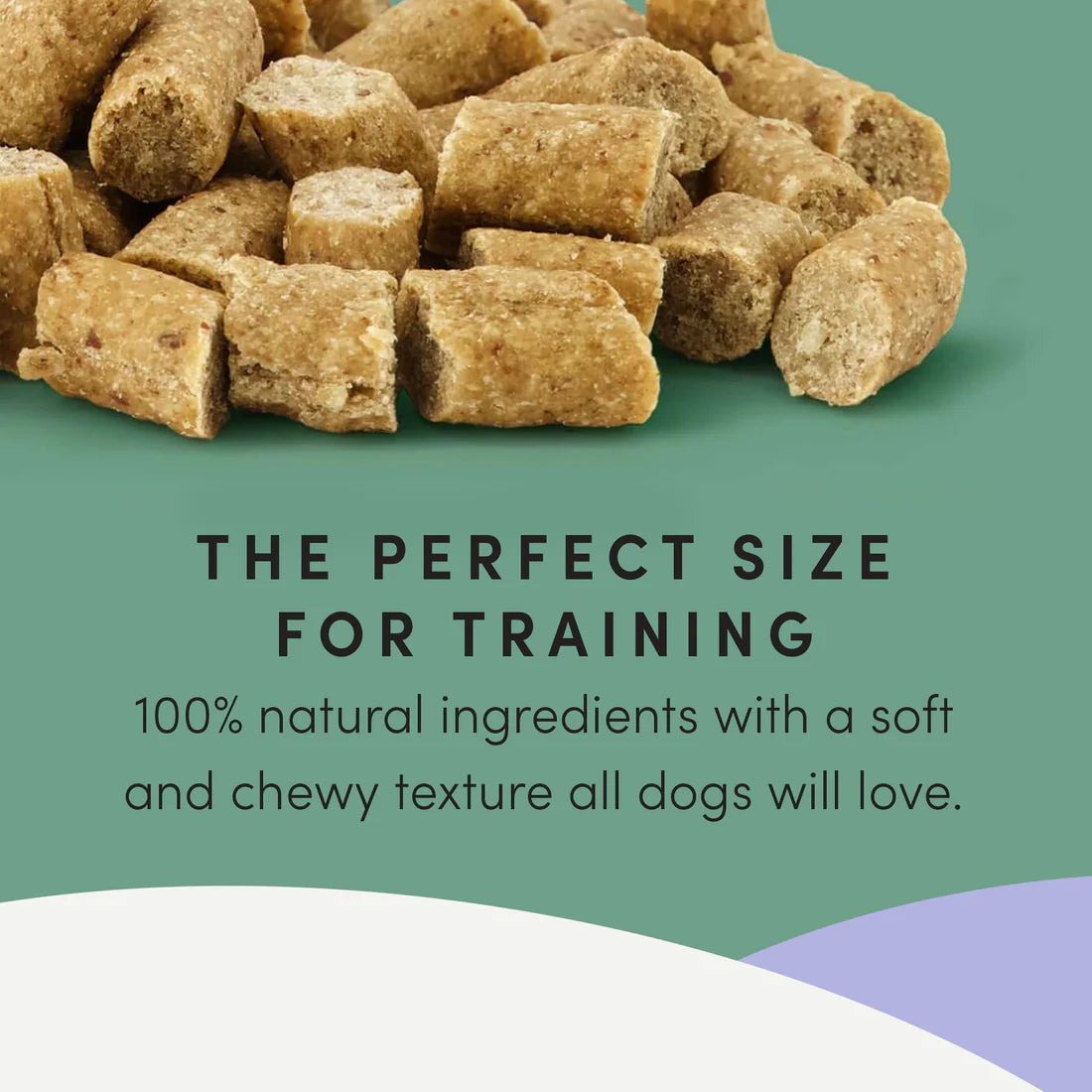 Crumps Mini Trainers Semi Moist Dog Treats