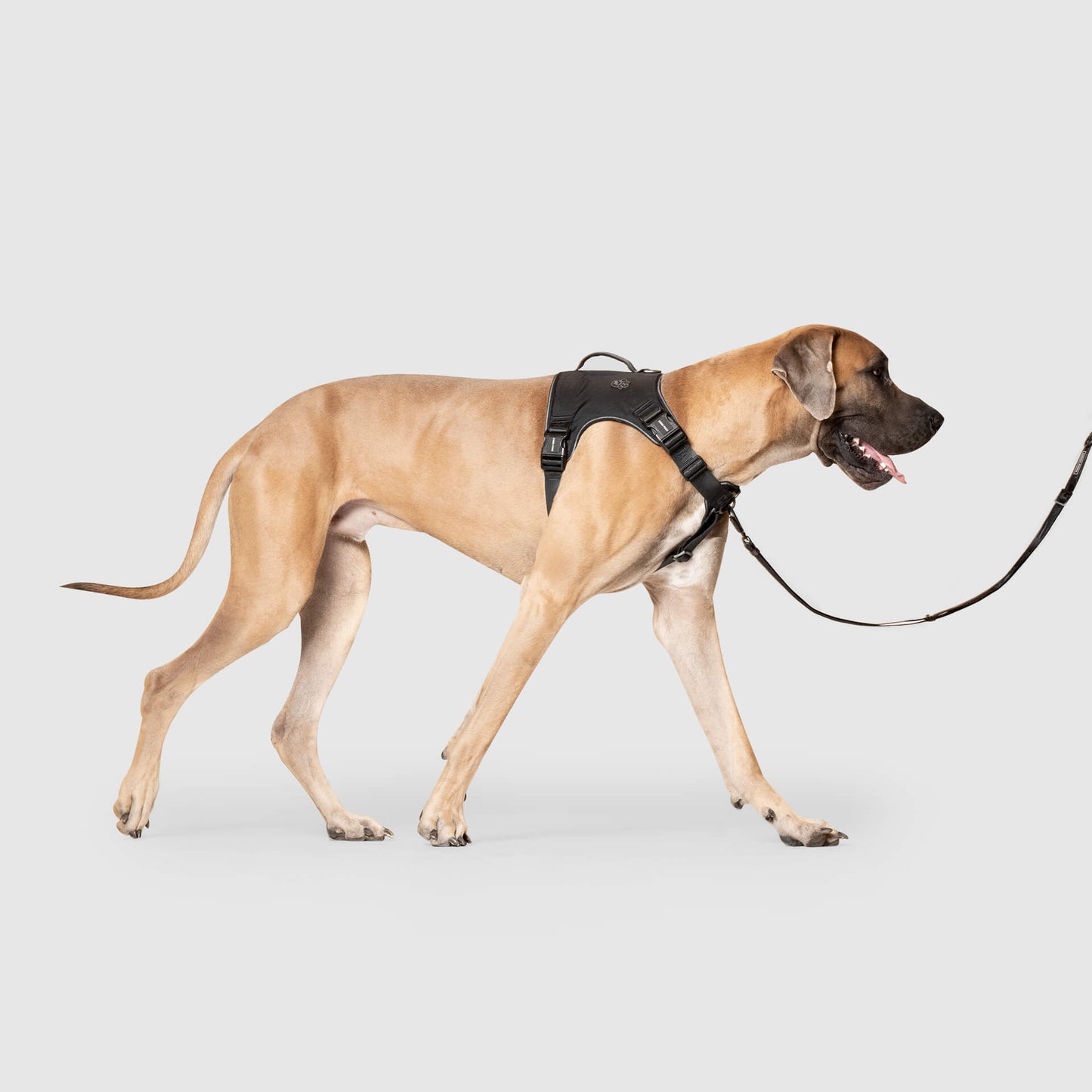 CANADA POOCH® COMPLETE CONTROL HARNESS BLACK