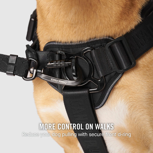 CANADA POOCH® COMPLETE CONTROL HARNESS BLACK