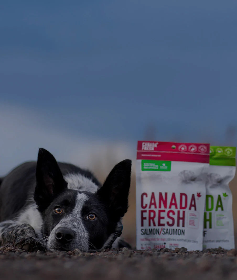 PETKIND® CANADA FRESH™ AIR-DRIED NUTRITIOUS DOG TREATS 6OZ