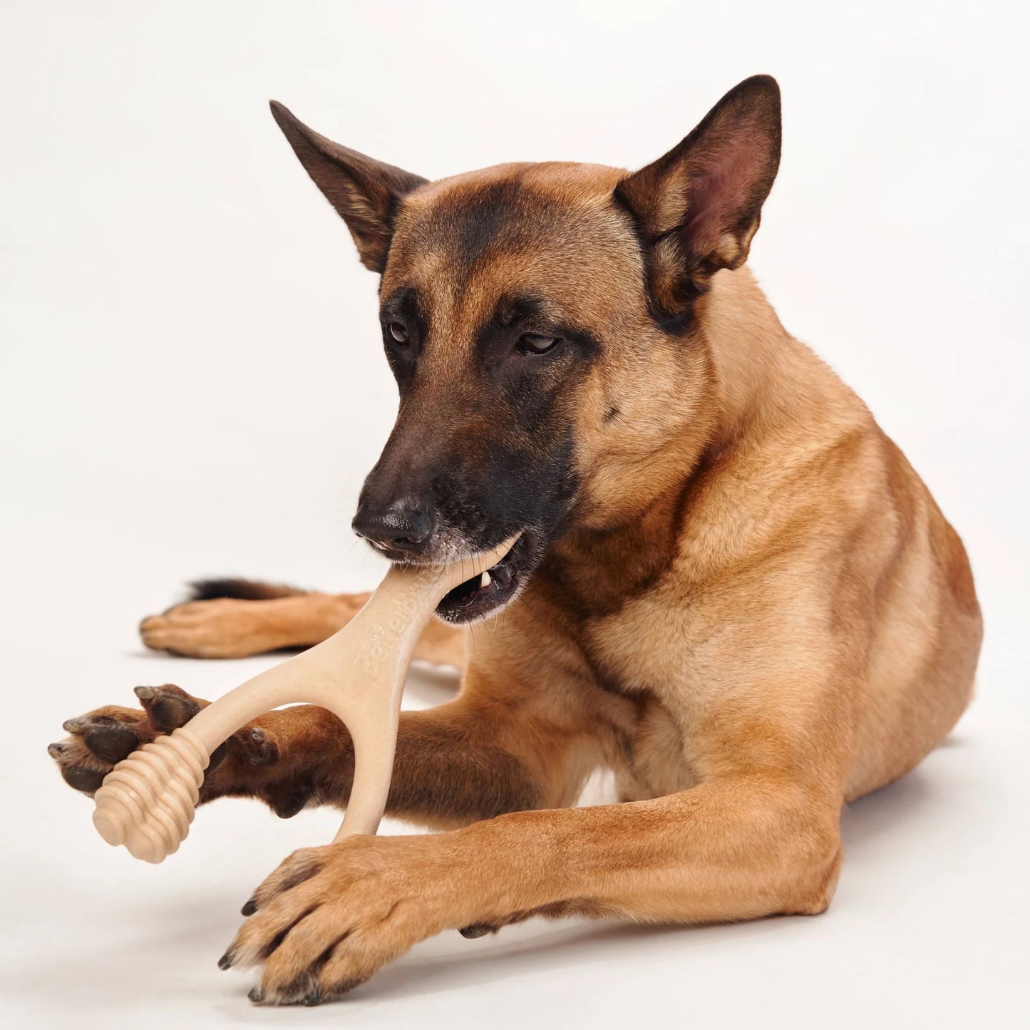 BetterBone Medium Density Classic Large Chew