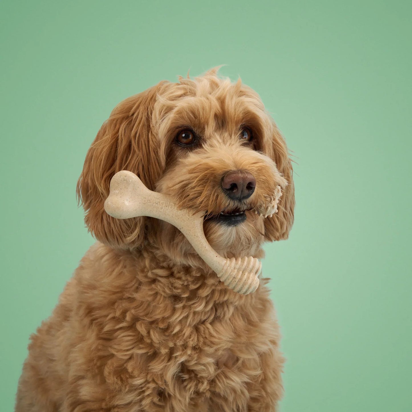 BetterBone Medium Density Classic Large Chew
