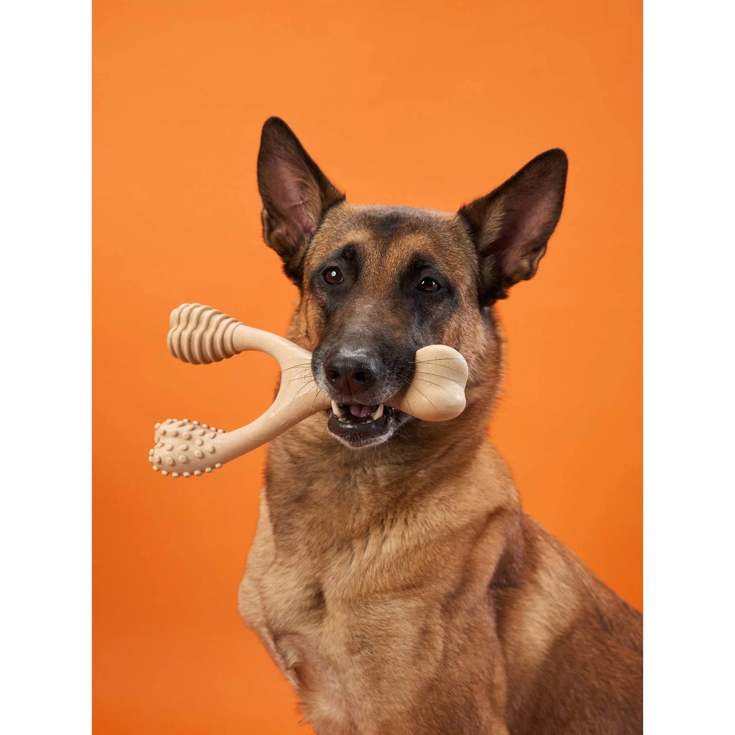 BetterBone Hard Density Classic Hard Large Chew