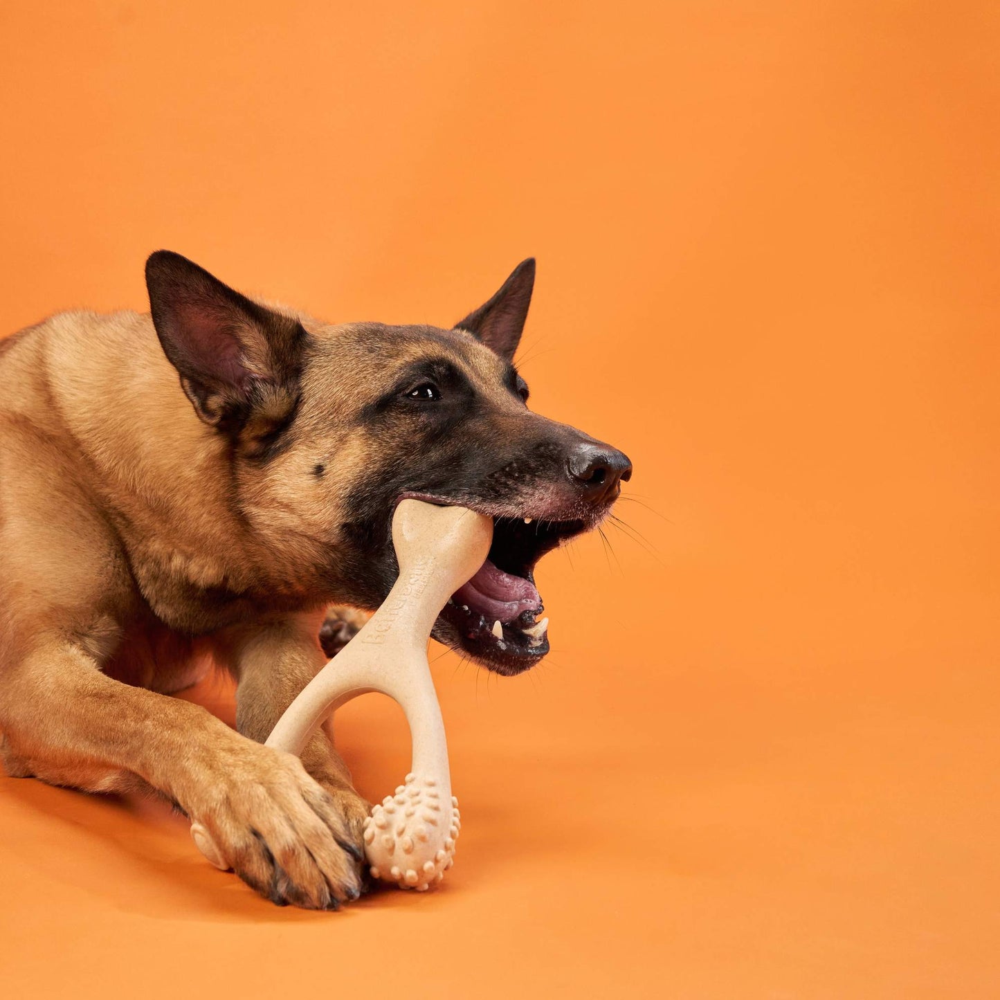 BetterBone Hard Density Classic Hard Large Chew