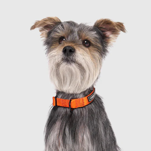 CANADA POOCH® UTILITY COLLAR ORANGE