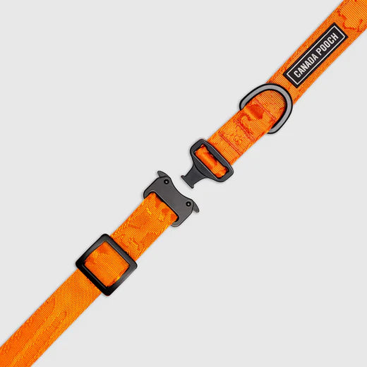 CANADA POOCH® UTILITY COLLAR ORANGE