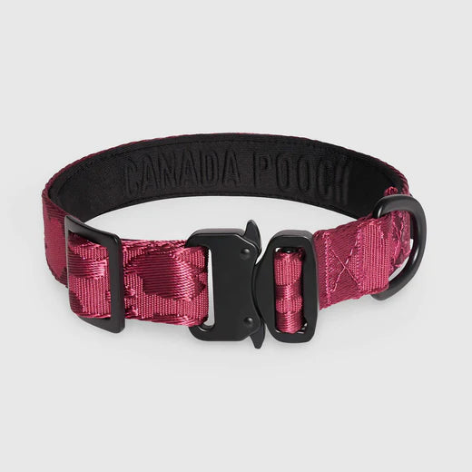 CANADA POOCH® UTILITY COLLAR PLUM