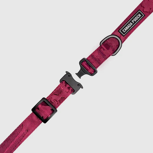 CANADA POOCH® UTILITY COLLAR PLUM