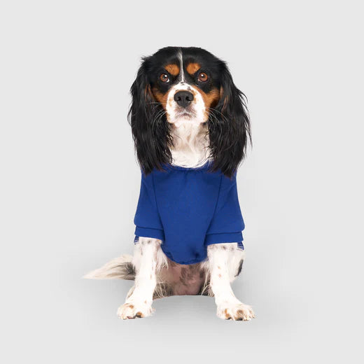 CANADA POOCH® ECO+ EVERYDAY HOODIE BLUE