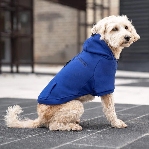 CANADA POOCH® ECO+ EVERYDAY HOODIE BLUE