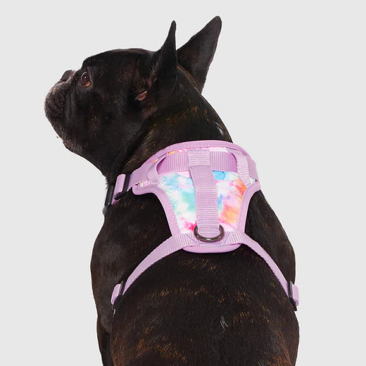 CANADA POOCH® THE EVERYTHING HARNESS TIE DYE