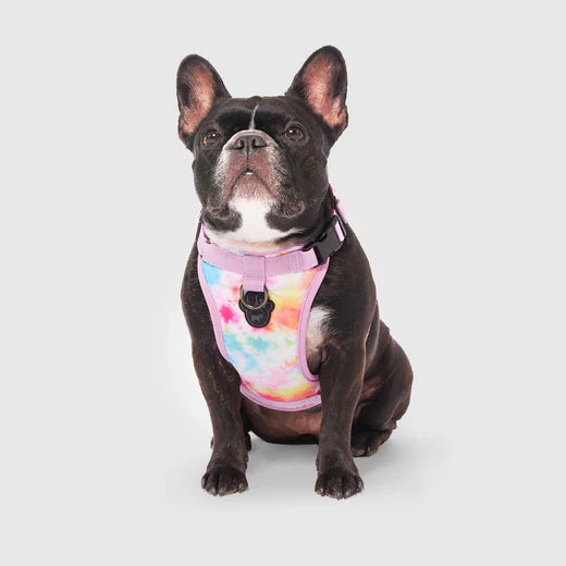 CANADA POOCH® THE EVERYTHING HARNESS TIE DYE