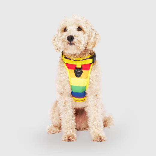 CANADA POOCH® THE EVERYTHING HARNESS RAINBOW