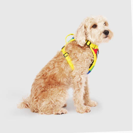 CANADA POOCH® THE EVERYTHING HARNESS RAINBOW