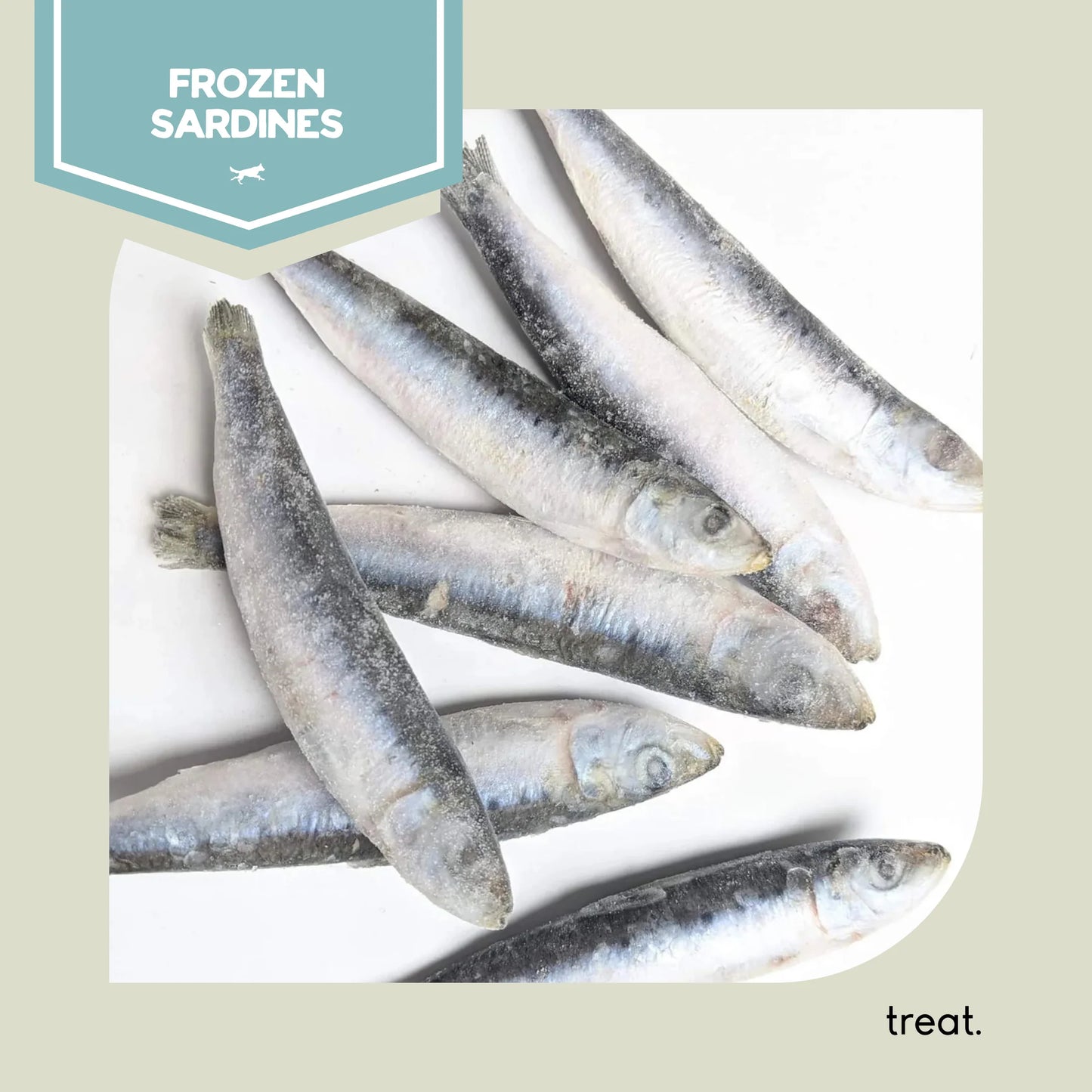 Frozen Sardines