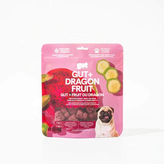 Gut + Dragon Fruit