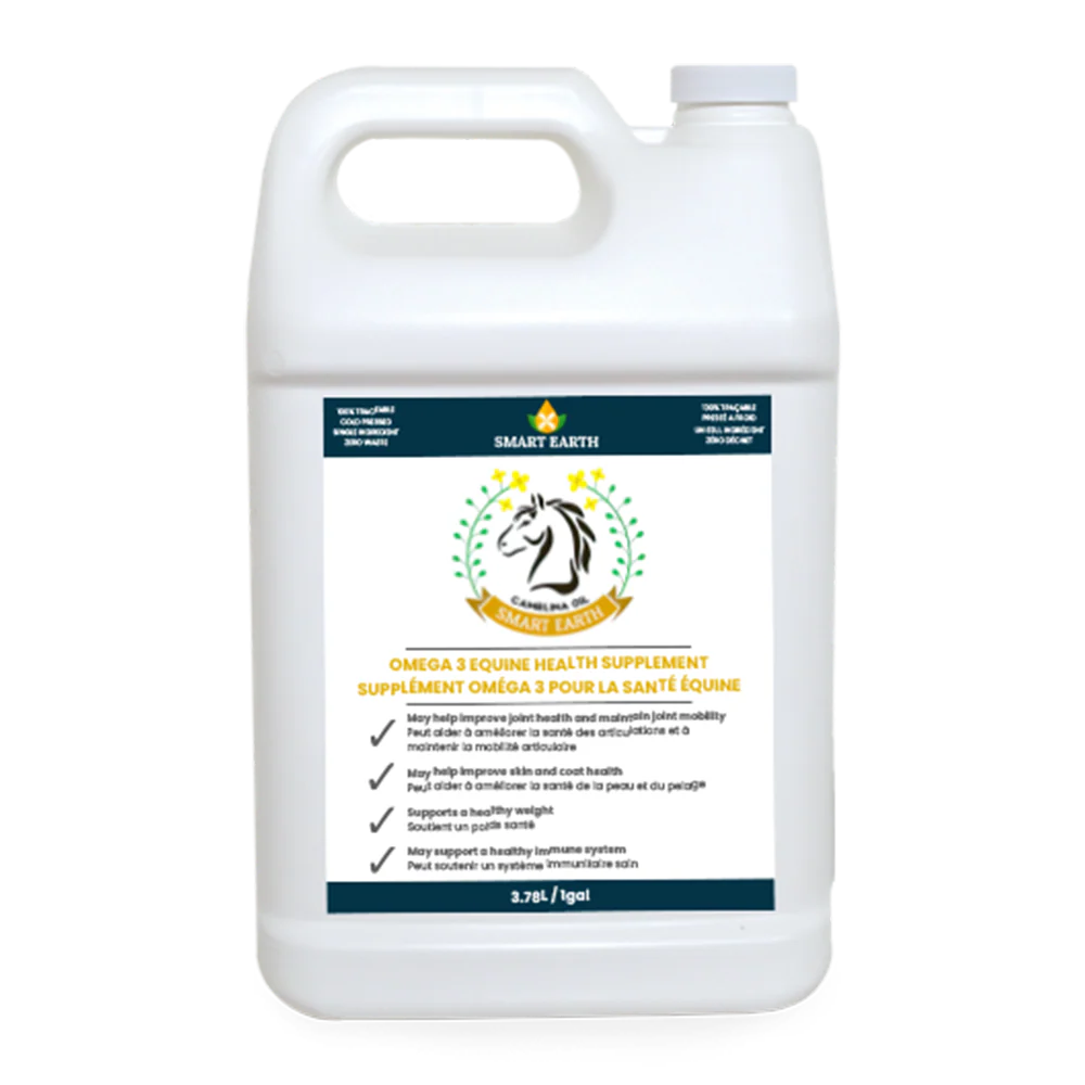 Camelina Oil for Equine