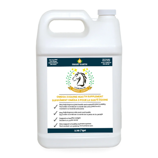 Camelina Oil for Equine