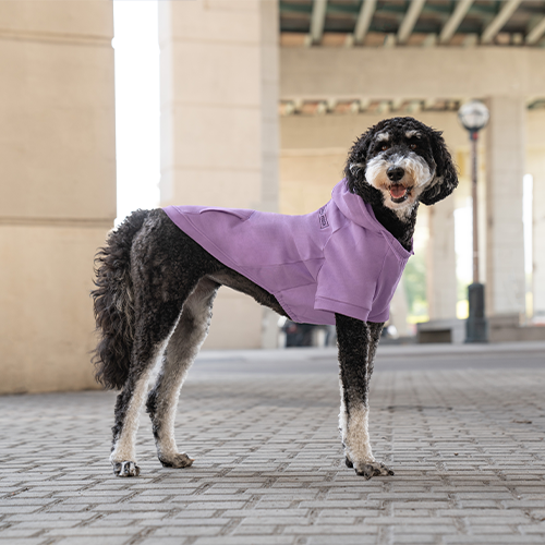 CANADA POOCH® ECO+ EVERYDAY HOODIE LILAC