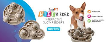 Fou Fit Interactive Slow Feeder Cloud