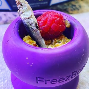 FreezBone FreezBall Large