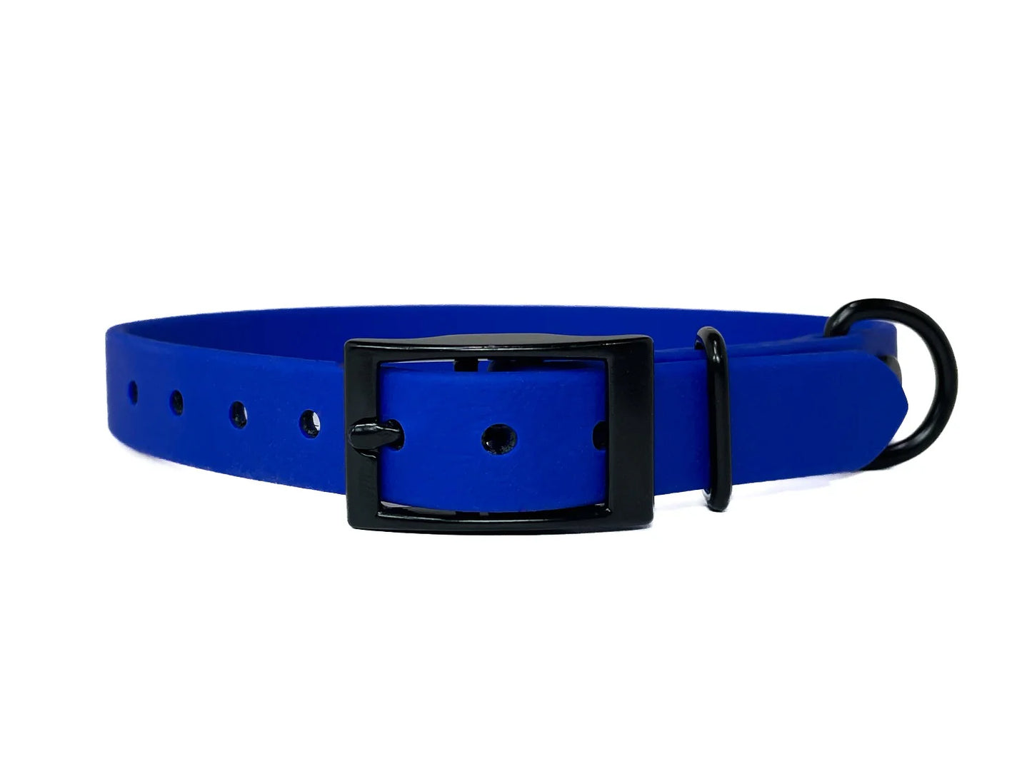 5/8" Waterproof Black Buckle Collar