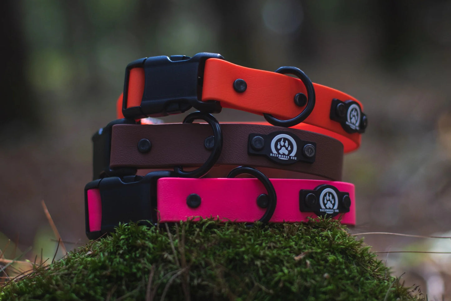 BackWood Dog Waterproof Quick-Release Dog Collar