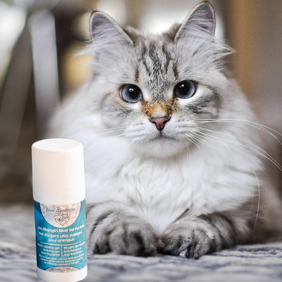 Silver4Wellness Extra Strength Silver Gel for Pets