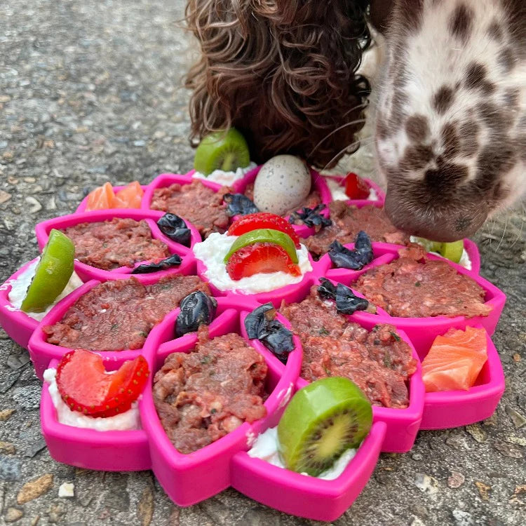 Mandala Design Etray Enrichment Tray For Dogs