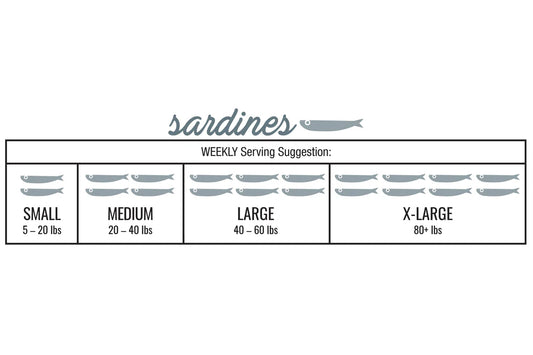 IronWillRaw Sardines