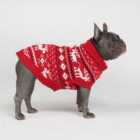 Dasher Knit Dog Sweater (Red)