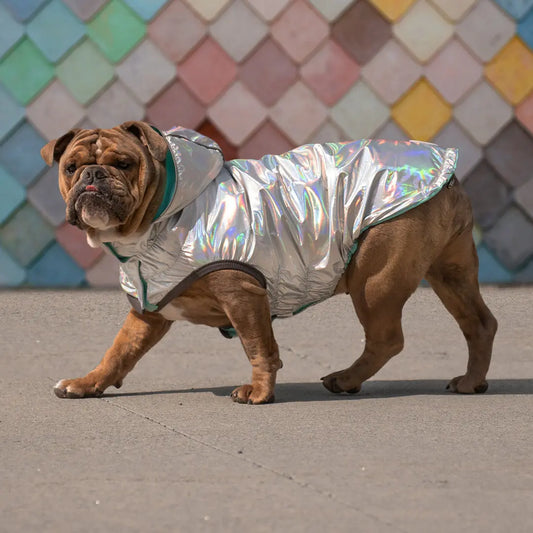 GFPet Reversible Rain Coat